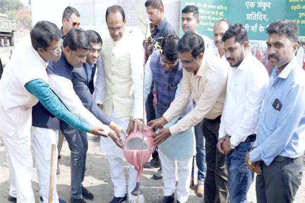 Tree Plantation : मुख्यमंत्री शिवराज सिंह चौहान ने श्यामला हिल्स स्थित उद्यान में आँवला, चंपा और नीम का पौधा लगाया