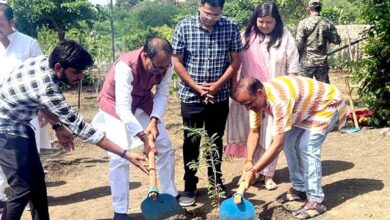 Planted Tress: Chief Minister Shivraj Chouhan planted saplings of peepal, mango and tamarind