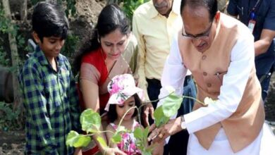 Plantation Tree: Chief Minister Shivraj Singh Chouhan planted banyan, guava and karanj saplings