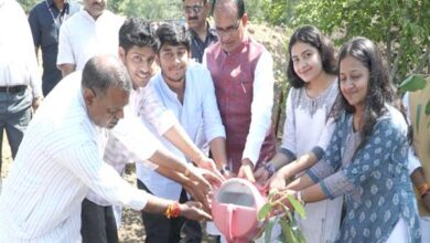 Tree Plantation: Chief Minister Shivraj Chouhan planted saplings with environment-lovers and social workers