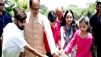 Plantation Tree: Chief Minister planted saplings of almond, gulmohar and peepal