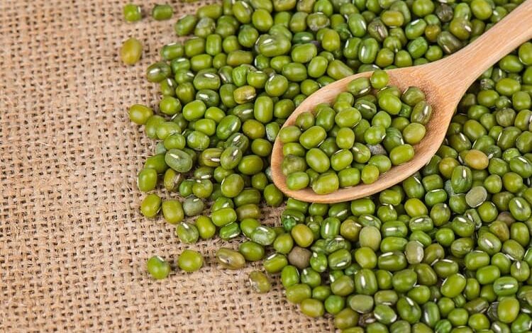 Madhya pradesh News: Registration date extended till May 31 for purchase of moong on support price