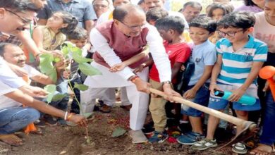 Tree Plantation: Children planted Peepal tree with Chief Minister Shivraj Singh Chouhan