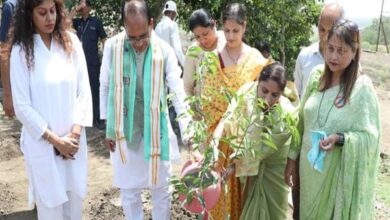 Tree Plantation: Birthday celebrated by planting saplings with the Chief Minister