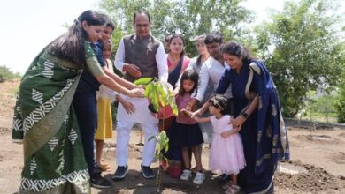 Tree Plantation: Chief Minister Shivraj Chouhan planted Kachnar, Banyan and Mango plants