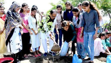 Tree Plantation: The Chief Minister planted saplings in Smart Udyan with dear sisters